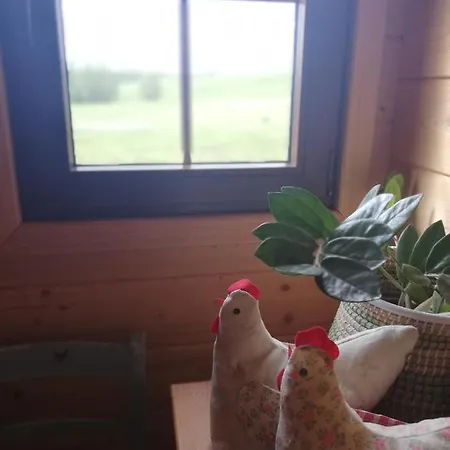 Sielski Domek Zielony Zakatek Holiday home Ketrzyn