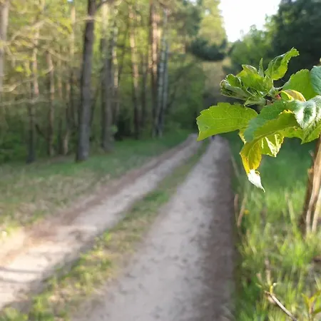 Prázdninový dům Sielski Domek Zielony Zakatek Kętrzyn